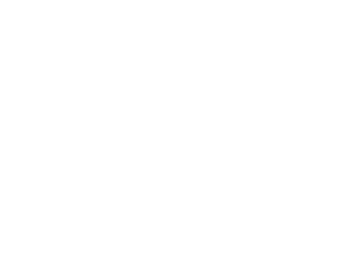 Digitale Optimisten