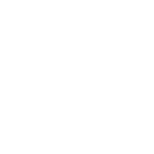 Digitale Optimisten